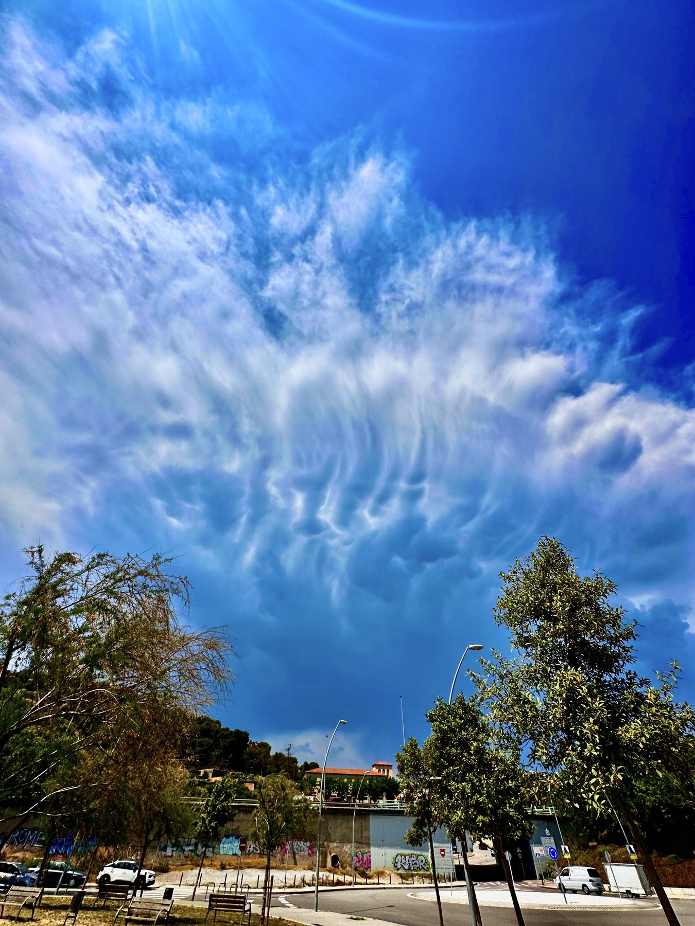 Sin discusión — Cielo azul intenso con nubes deshilachadas sobre unos árboles
