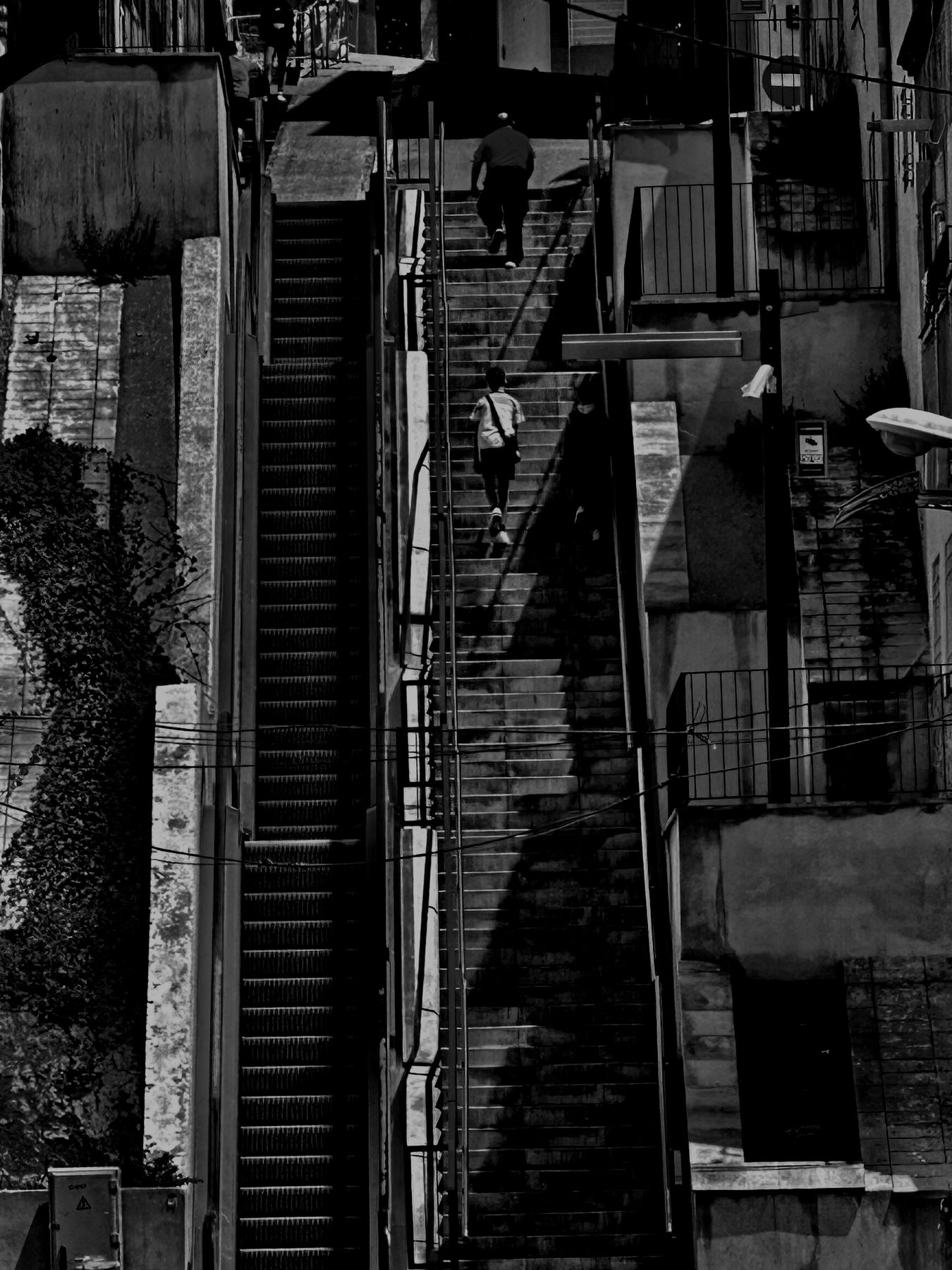 Escaleras — Escaleras exteriores superpuestas en una fachada, en blanco y negro