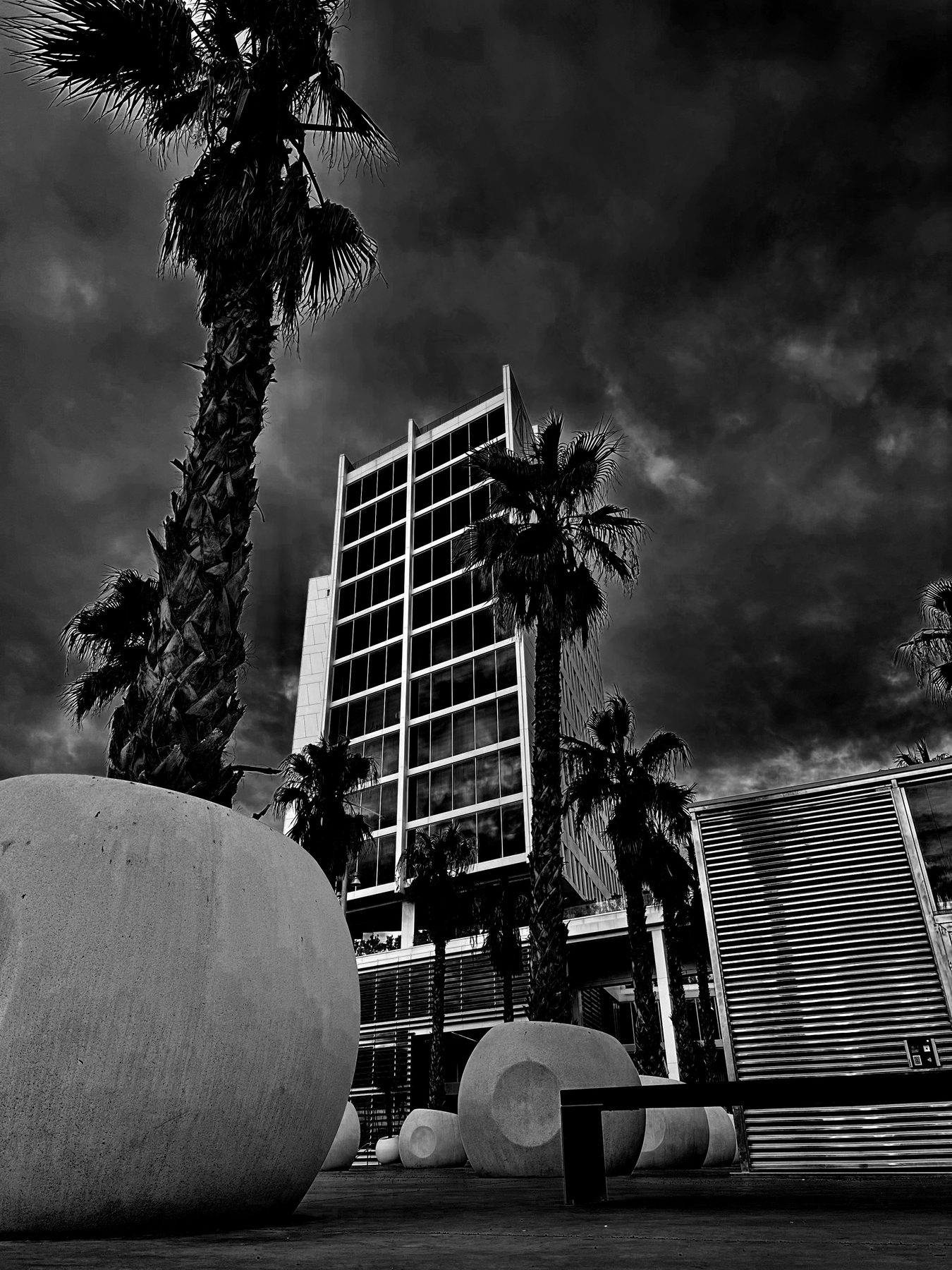 Esferas — Esferas de hormigón y palmeras frente a un edificio moderno, en blanco y negro