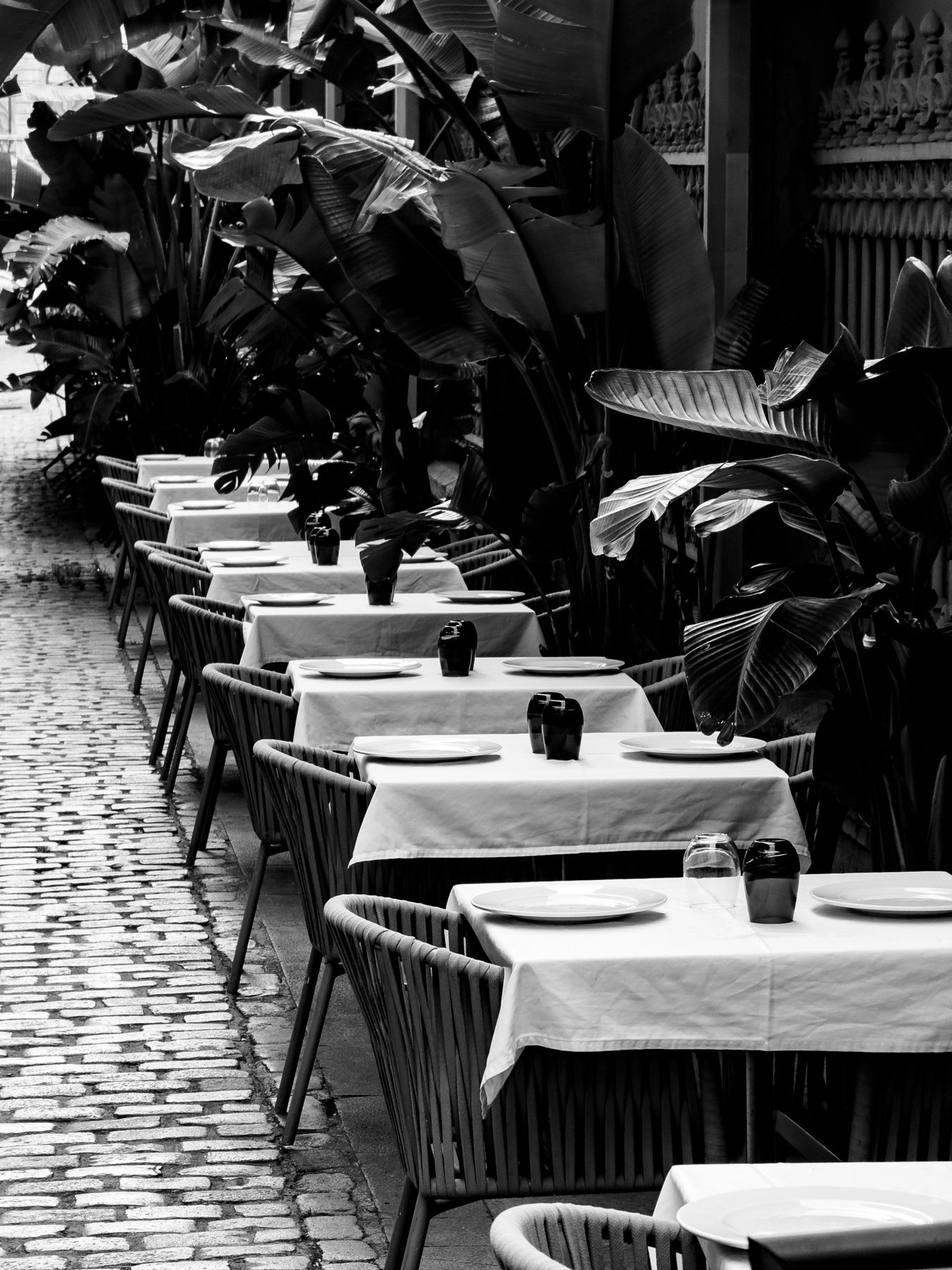 Mesas puestas — fila de mesas con mantel blanco y platos en la terraza de un restaurante de Barcelona, junto a una calle empedrada y plantas de hojas grandes, en blanco y negro