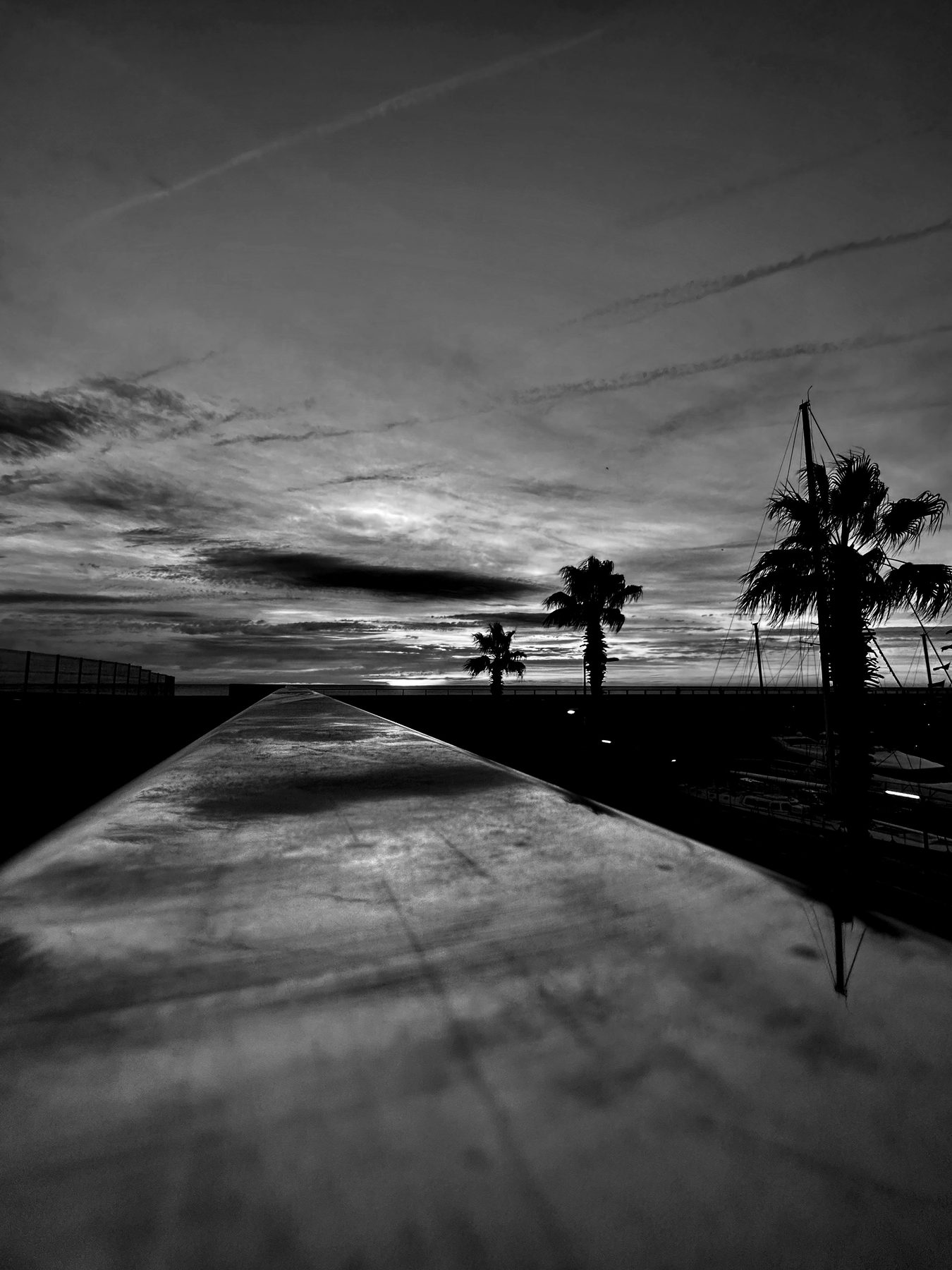 De pie — Paseo junto al mar con palmeras a contraluz, en blanco y negro