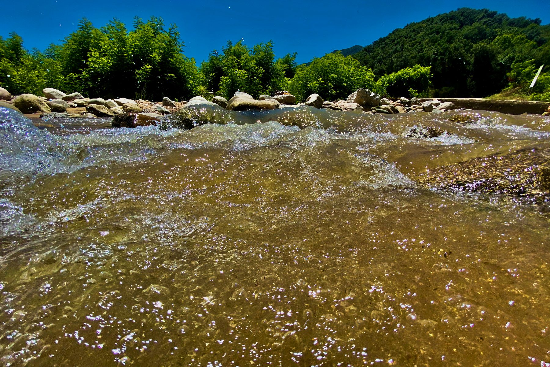 El río no avisa — vista a ras de agua de un río salpicando entre piedras, con bosque al fondo